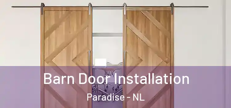 Barn Door Installation Paradise - NL