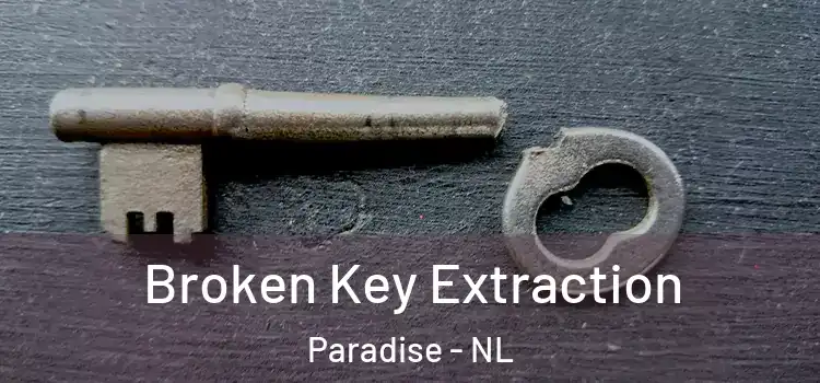  Broken Key Extraction Paradise - NL