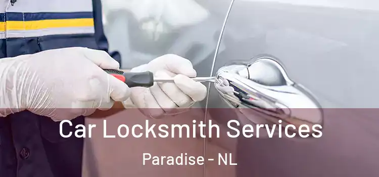  Car Locksmith Services Paradise - NL