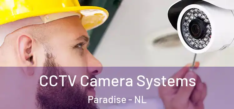 CCTV Camera Systems Paradise - NL