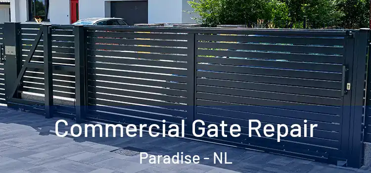 Commercial Gate Repair Paradise - NL