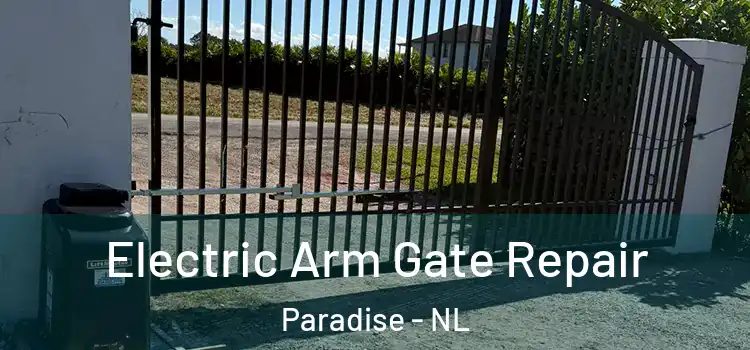  Electric Arm Gate Repair Paradise - NL