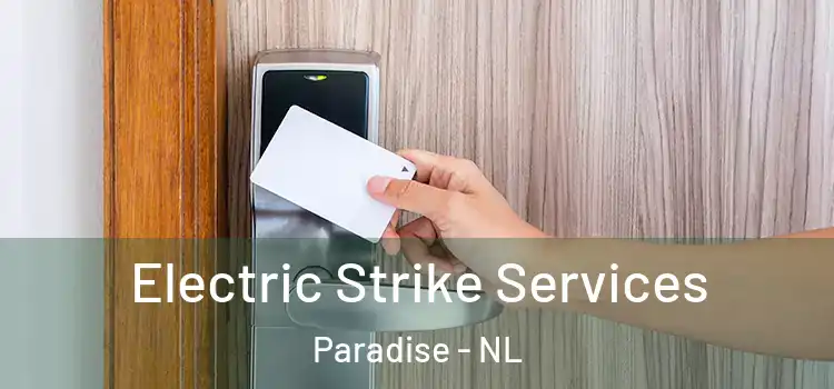  Electric Strike Services Paradise - NL