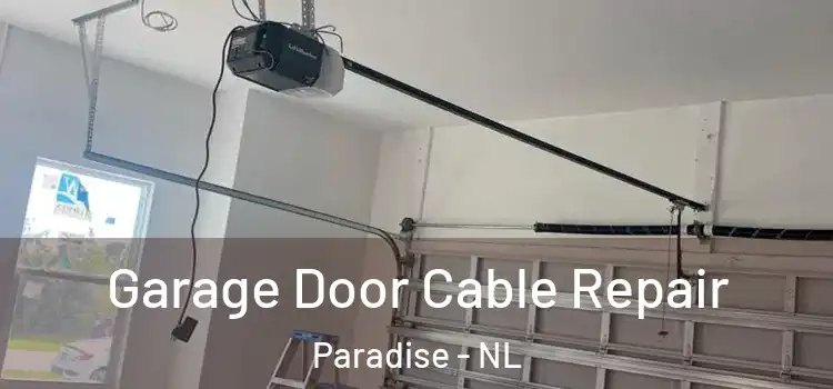  Garage Door Cable Repair Paradise - NL