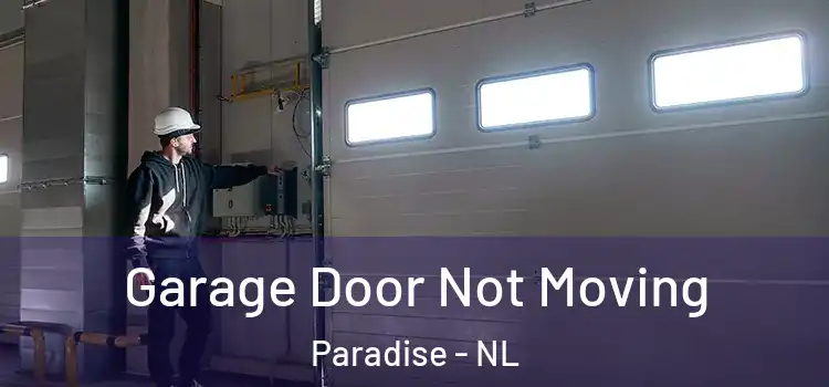  Garage Door Not Moving Paradise - NL