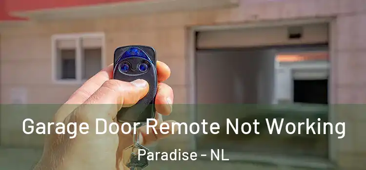  Garage Door Remote Not Working Paradise - NL