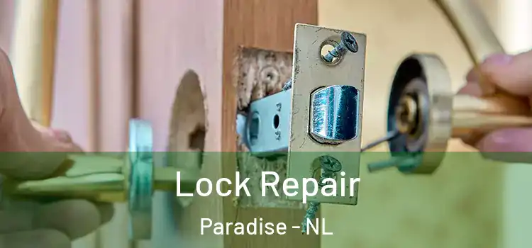  Lock Repair Paradise - NL