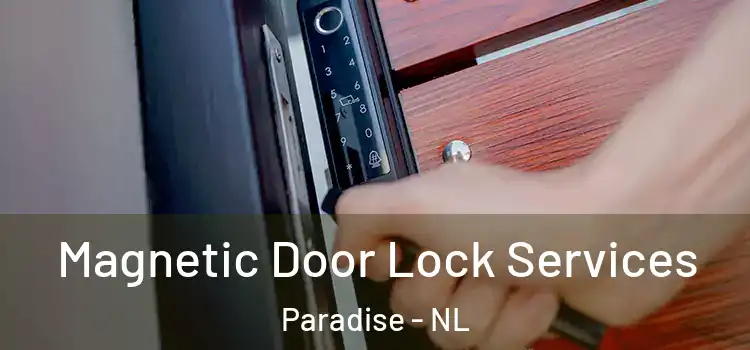 Magnetic Door Lock Services Paradise - NL
