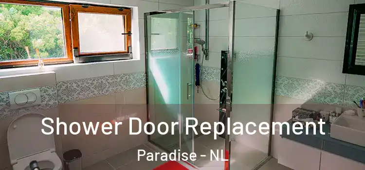 Shower Door Replacement Paradise - NL