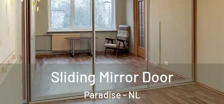  Sliding Mirror Door Paradise - NL