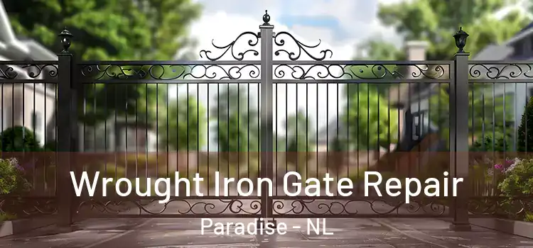 Wrought Iron Gate Repair Paradise - NL